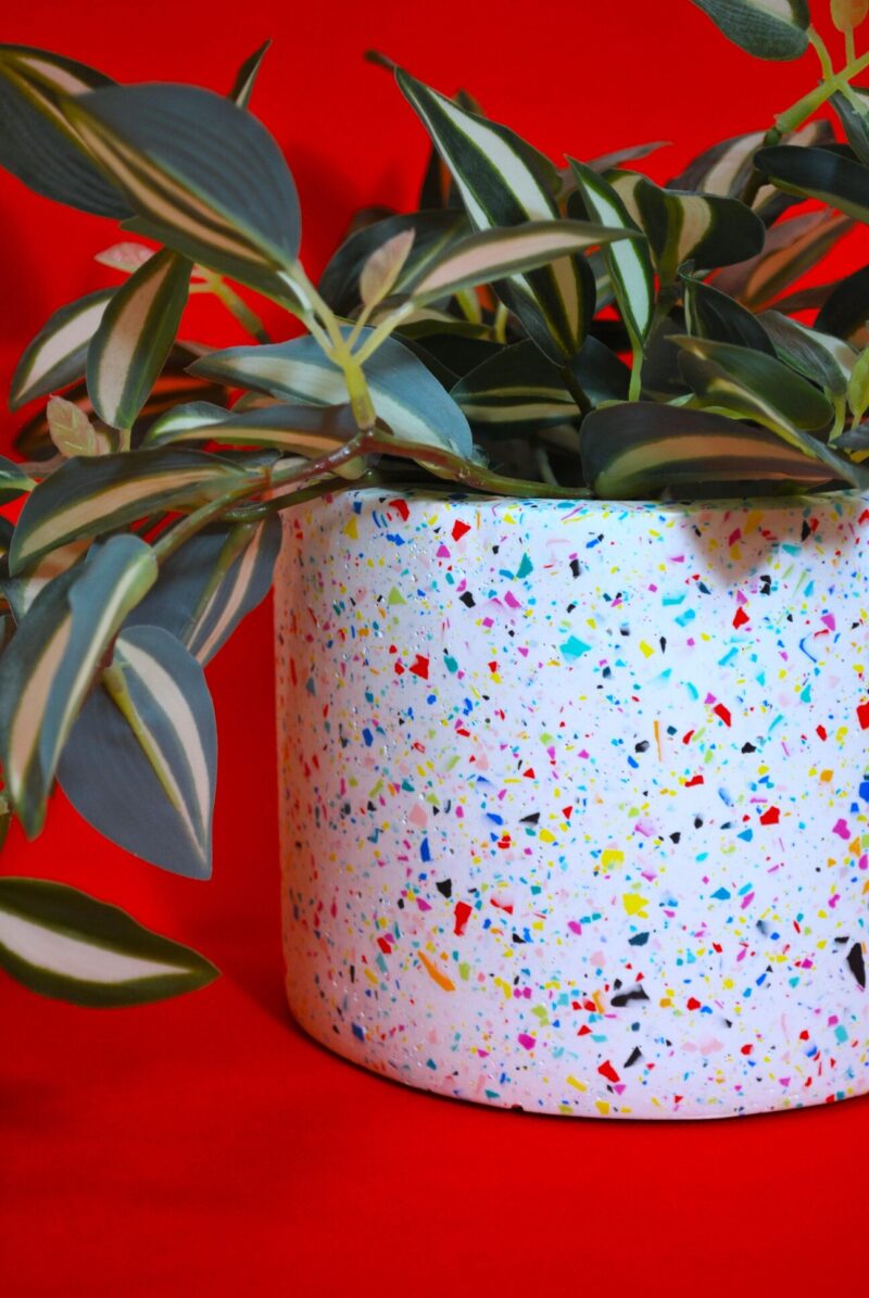 Κυλινδρικό Κασπώ Confetti | XL - Image 4